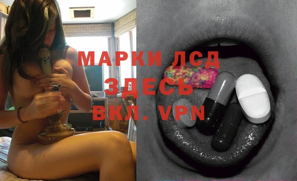 ПСИЛОЦИБИНОВЫЕ ГРИБЫ Коряжма