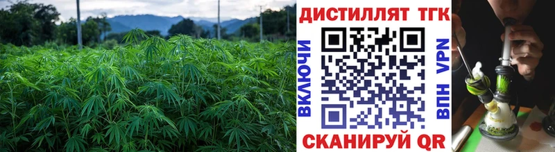 Купить  Пойковский  Дистиллят ТГК вейп 